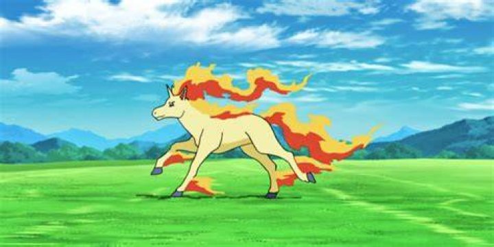 Rapidash
