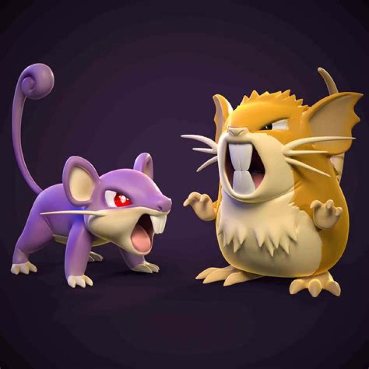 Rattata