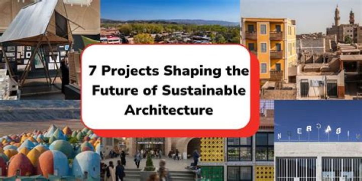 Rina Lipa future projects Rina Lipa future projects