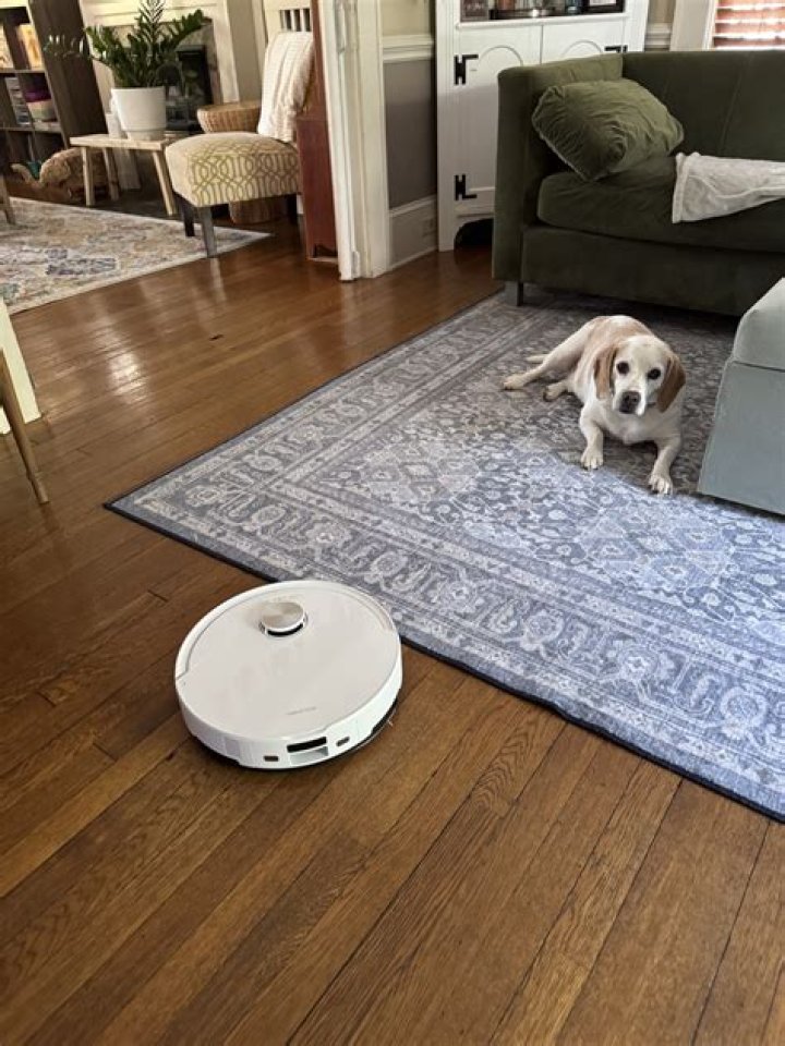 Roborock S5 Max dog good