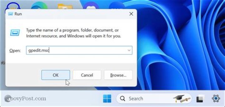 run dialog box - onedrive error code 0x8004de8a