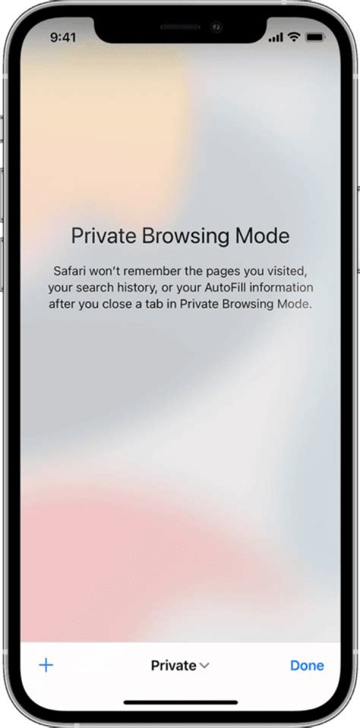 Safari private browsing mode landing page