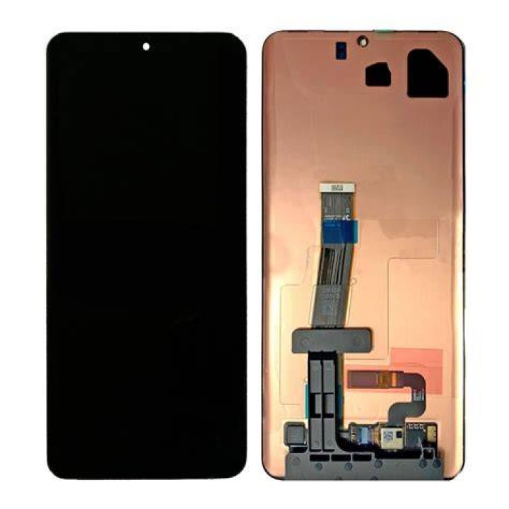 Samsung Galaxy S20 Display