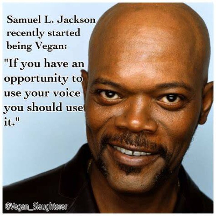 samuel l jackson vegan diet samuel l jackson vegan diet