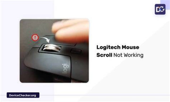 Scroll wheel stuck on zoom