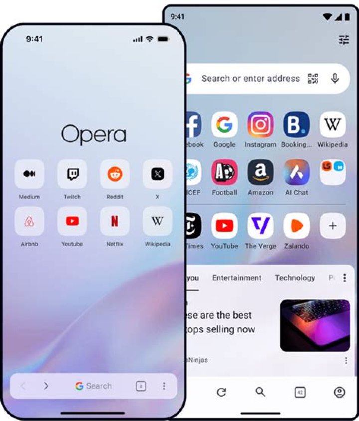 Security features of Opera and Dolphin.
