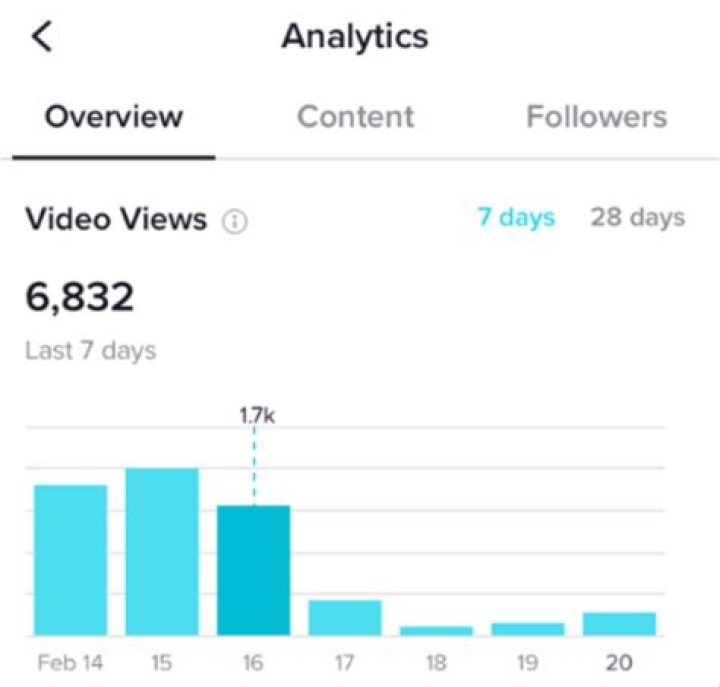 video views TikTok see video views TikTok