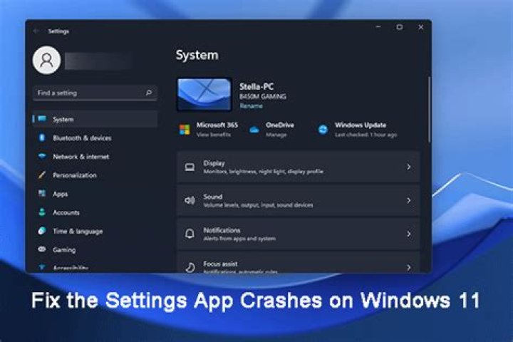 settings app crashes Windows 11