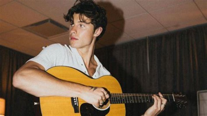 Shawn Mendes Net Worth Shawn Mendes Net Worth