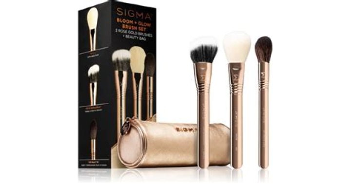 Sigma Beauty brush set