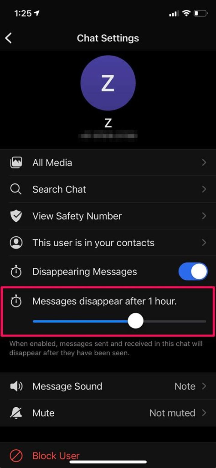 signal disappearing messages