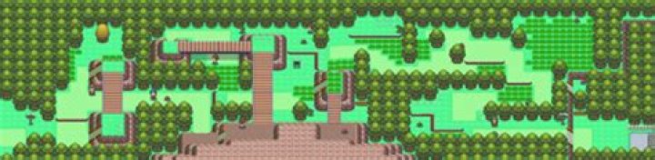 Sinnoh Route 215