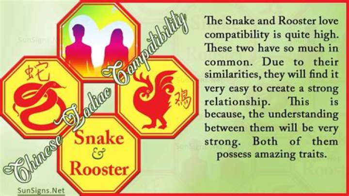 snake rooster compatibility