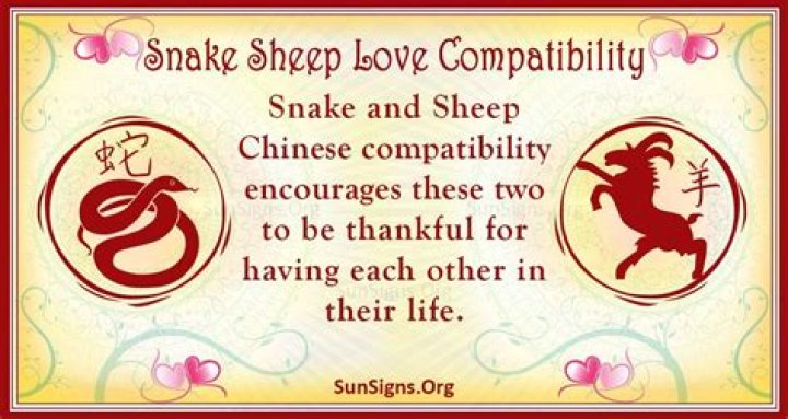 snake sheep compatibility