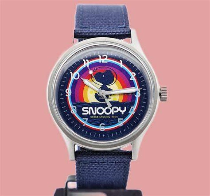 Snoopy space mission