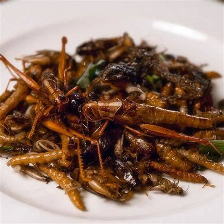 So What Does A Deep-Fried Grasshopper Taste Like?