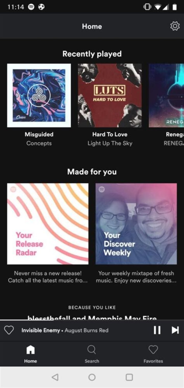 Spotify Lite is lightweight, but probably too bare-bones