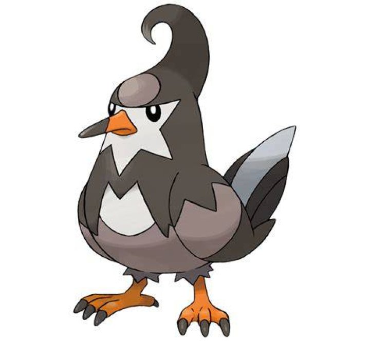 Staravia