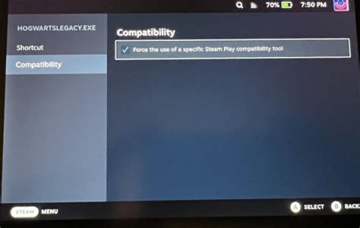 steam compatibility modes