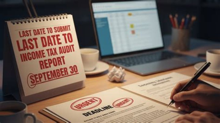 submit the report submit the report