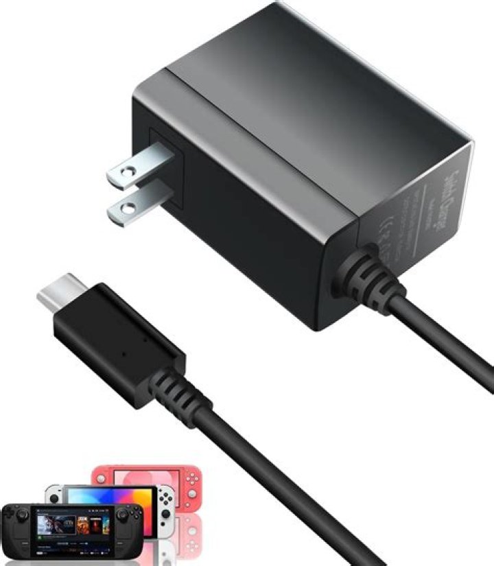 switch lite charger 