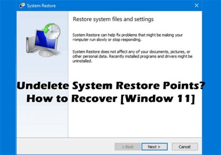 system restore next skype video not showing