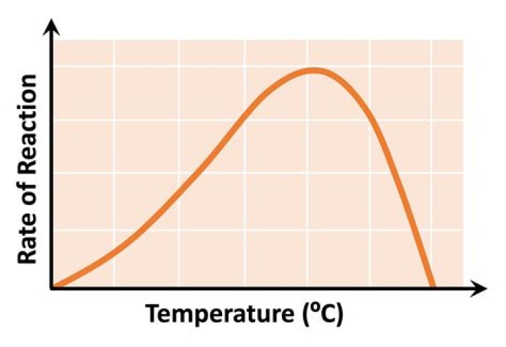 Temperature Graph for 05-14