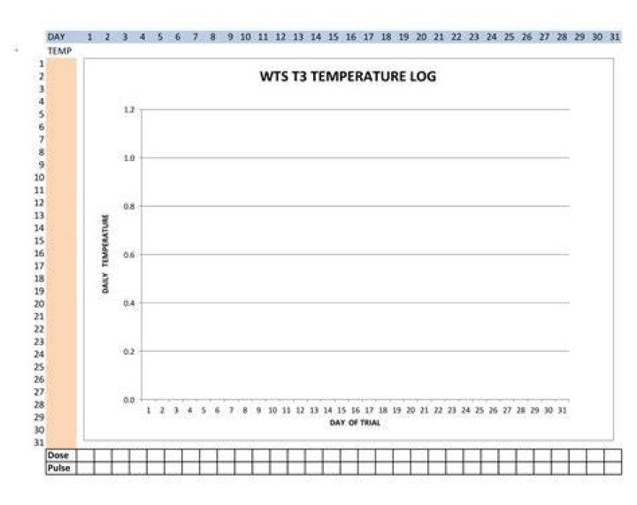 Temperature Graph for 11-17