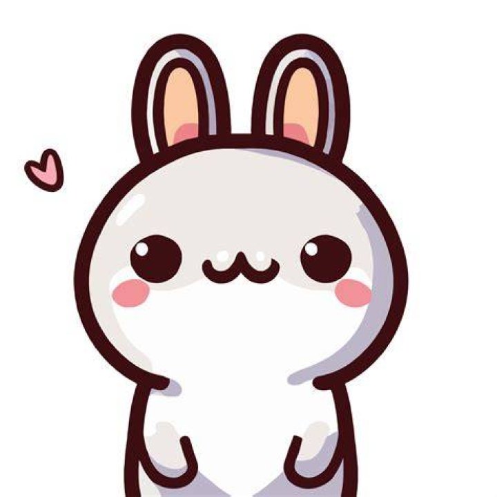 The Bunny's Fan Following The Bunny's Fan Following
