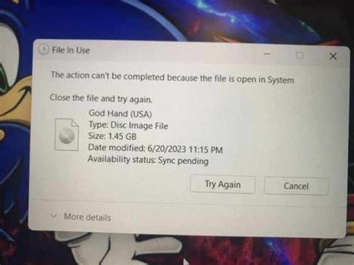 The file is in use