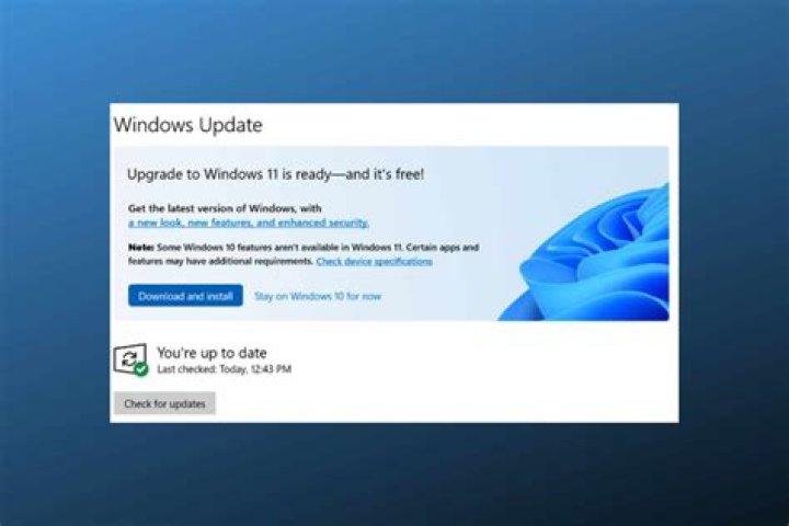 The Uninstall option windows 11 vpn not working