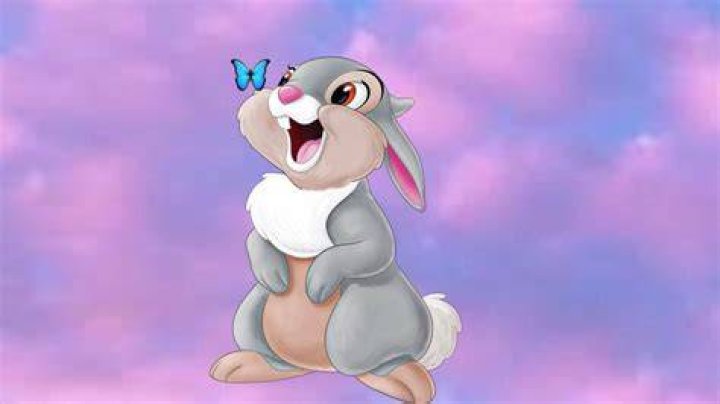 thumper thumper