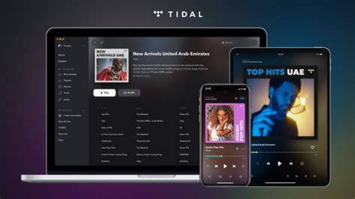 Tidal app on Pixel 3 SG Tidal app hi-res music streaming on Pixel 3 SG