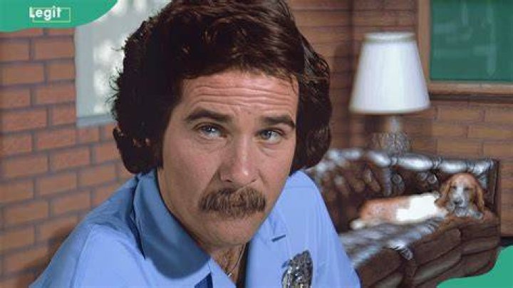 Tim Donnelly in "Emergency"