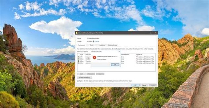 Unable to set new owner access is denied security tab