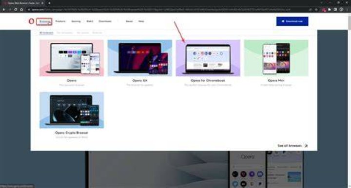 Under browsers, select Opera for Chromebook.