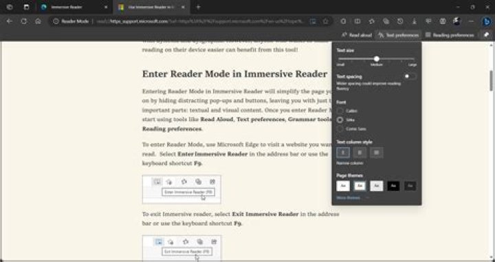 use Immersive Reader options