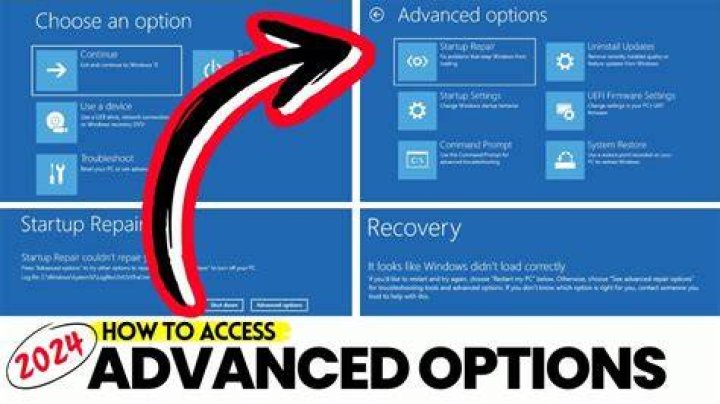 View Advanced Options