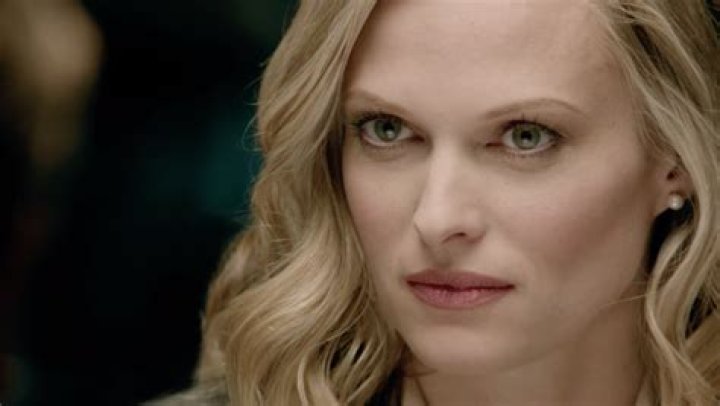 vinessa shaw career vinessa shaw career