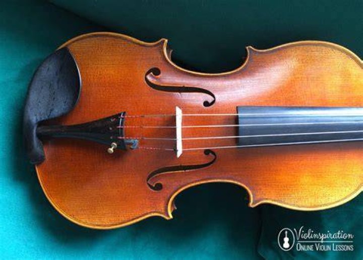 Viola's Vivillon