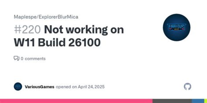w11 build