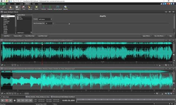 WavePad's main window