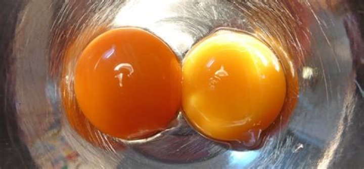 What Does Double Yolk Mean