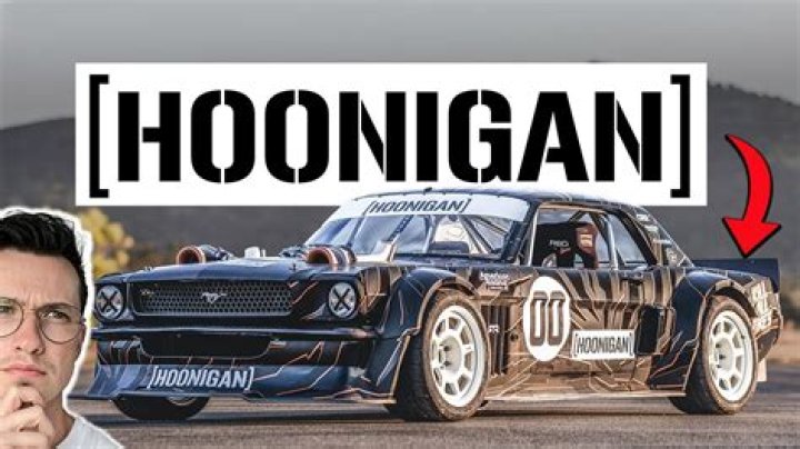 What Does Hoonigan Mean
