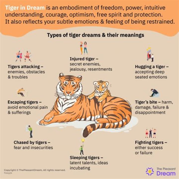 What does it mean to dream about Tiger