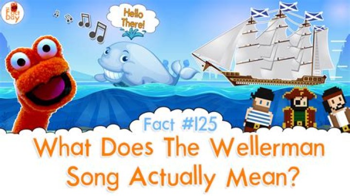 What Does The Song Mean?