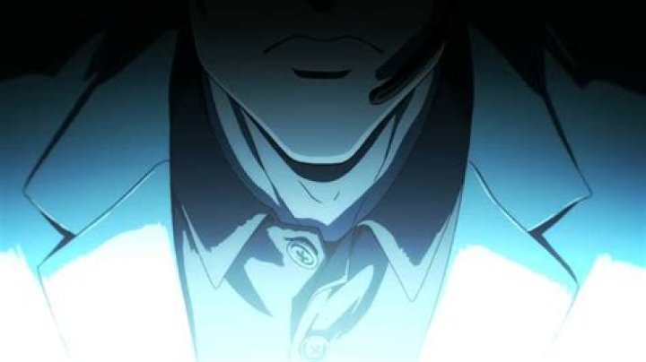 Who Knows About Saitama