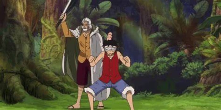 Who Trains Luffy