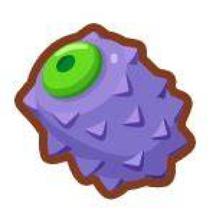 Wiki Berry
