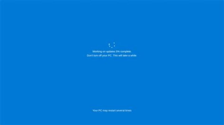 windows 11 fake